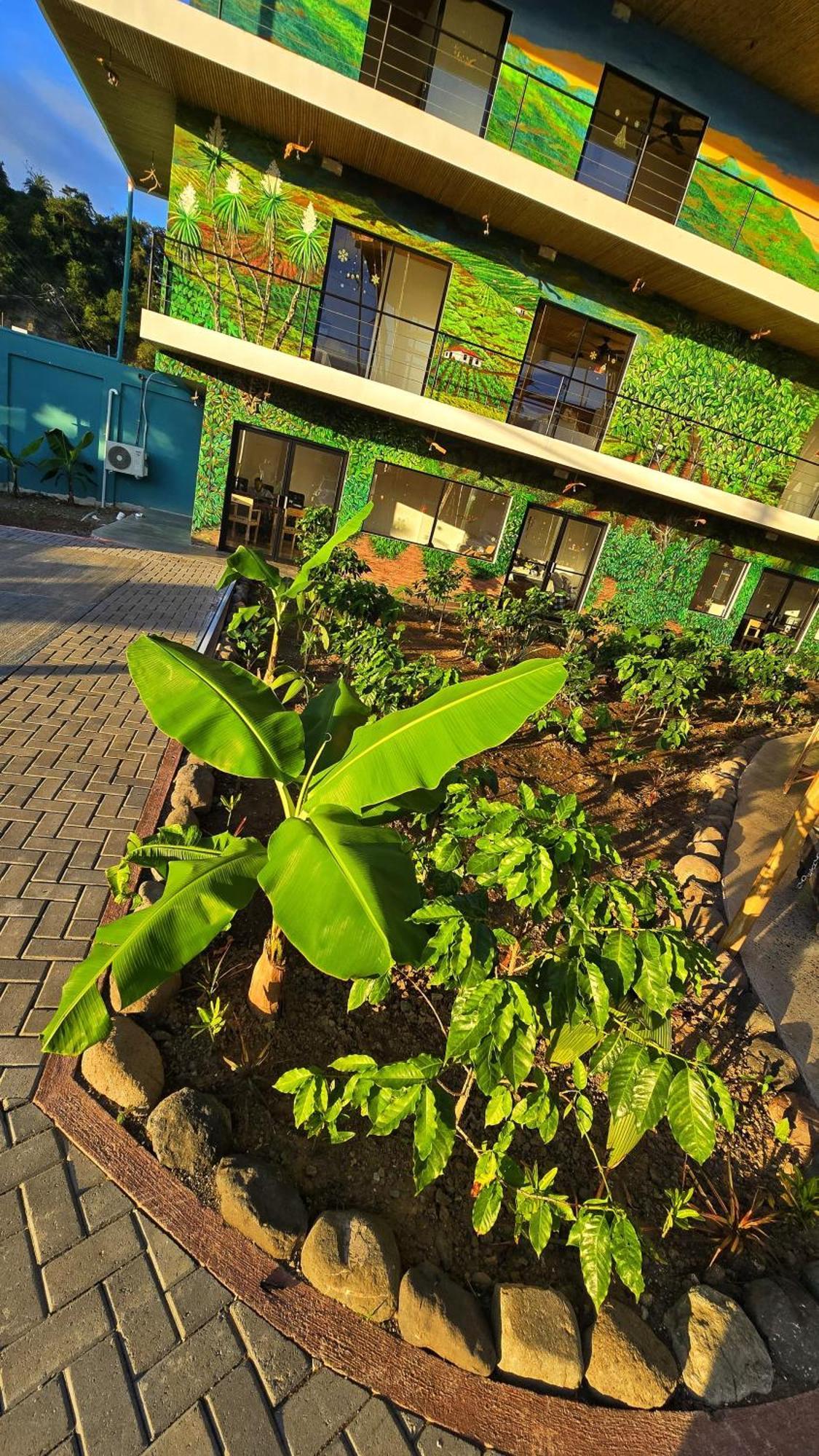 Bonding Coffee Roaster Cafe & Hotel Quepos Ngoại thất bức ảnh