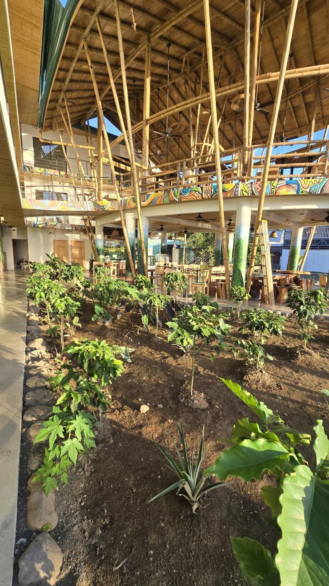 Bonding Coffee Roaster Cafe & Hotel Quepos Ngoại thất bức ảnh