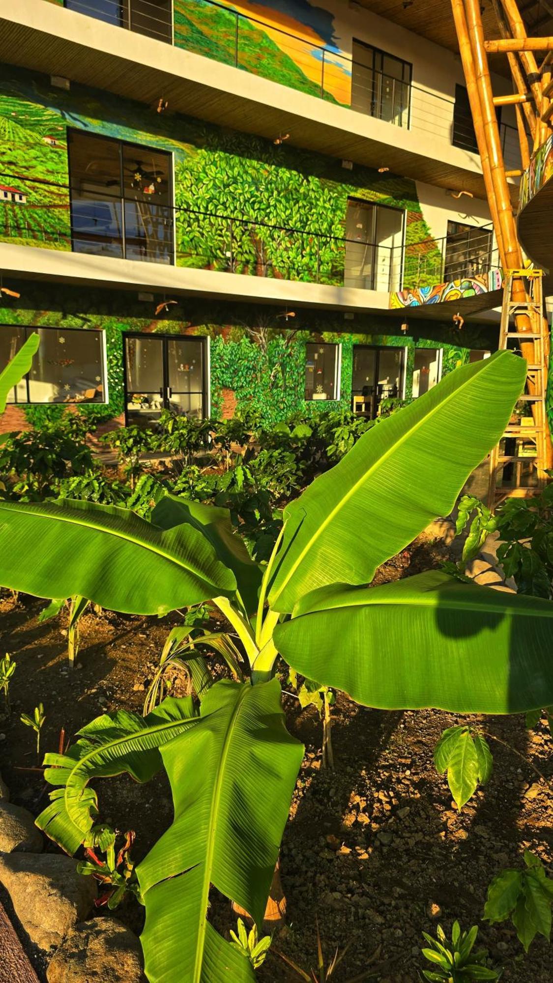 Bonding Coffee Roaster Cafe & Hotel Quepos Ngoại thất bức ảnh