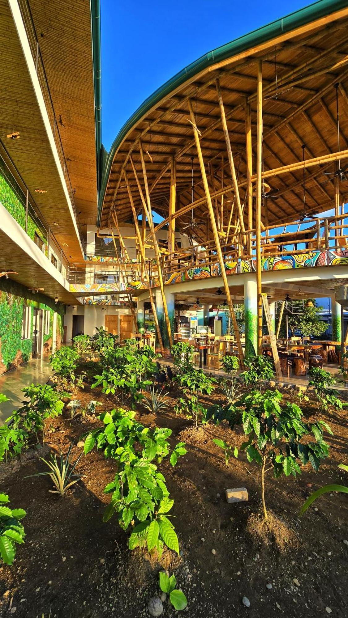 Bonding Coffee Roaster Cafe & Hotel Quepos Ngoại thất bức ảnh