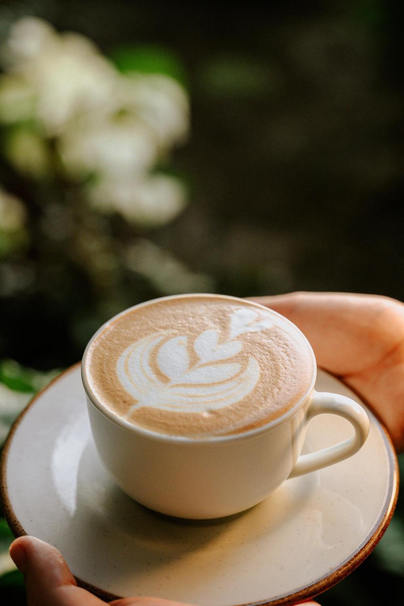 Bonding Coffee Roaster Cafe & Hotel Quepos Ngoại thất bức ảnh